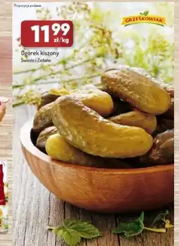 Avita Ogórek Grześkowiak oferta