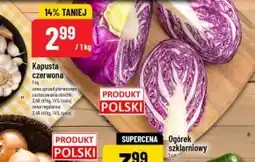 Polomarket Kapusta czerwona Polski oferta