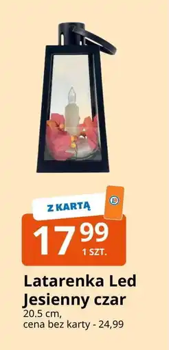 E.Leclerc Latarenka led jesienny czar oferta