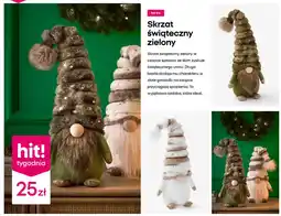 Pepco Skrzat świąteczny zielony oferta