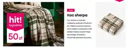 Pepco Koc sherpa oferta