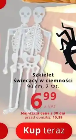 Poczta Polska Szkielet świecący w ciemności oferta