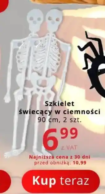 Poczta Polska Szkielet świecący w ciemności oferta