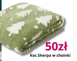 Pepco Koc Sherpa oferta