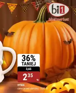 bi1 Dynia oferta
