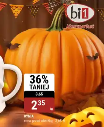 bi1 Dynia oferta