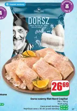 Dino Dorsz Family Fish oferta