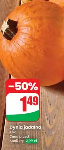 Dino Dynia oferta