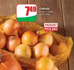 Dino Cebula Polski oferta