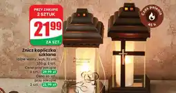 Dino Znicz oferta