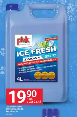 Selgros Płyn do spryskiwaczy zimowy Plak oferta