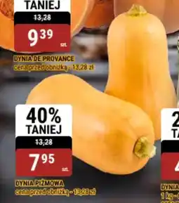 bi1 Dynia piżmowa oferta