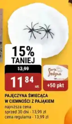 bi1 Pajęczyna świecąca w ciemności z pająkiem oferta