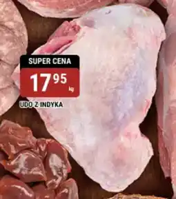 bi1 Udo z indyka oferta