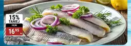 bi1 Filet śledziowy salinat oferta