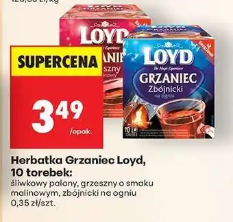 Biedronka Herbatka Grzaniec Loyd, 10 torebek oferta