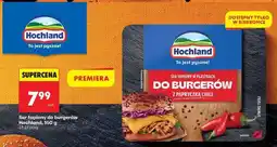 Biedronka Ser topiony do burgerów Hochland, 150 g oferta