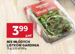 Stokrotka Market MIX MŁODYCH LISTKÓW GARDINIA oferta