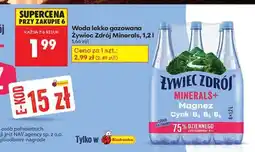Biedronka Żywiec Zdrój Minerals, 1,2 l oferta