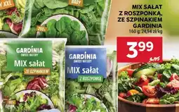 Stokrotka Market MIX sałat z roszponką, ze szpinakiem GARDINIA oferta