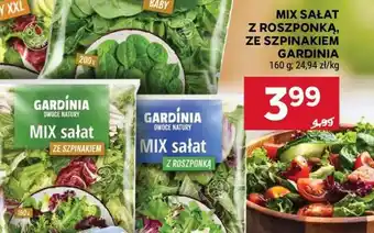 Stokrotka Market MIX sałat z roszponką, ze szpinakiem GARDINIA oferta