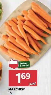 Stokrotka Market Marchew oferta