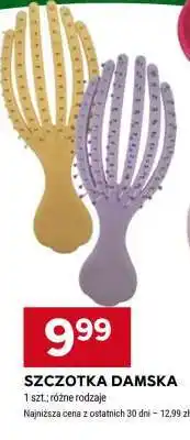 Stokrotka Market SZCZOTKA DAMSKA oferta