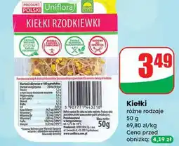 Dino Kiełki różne rodzaje Uniflora oferta