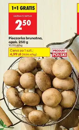 Biedronka Pieczarka brunatna, opak. 250 g Biedronka oferta