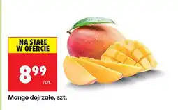 Biedronka Mango dojrzałe, szt. Biedronka oferta