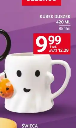Selgros Kubek oferta