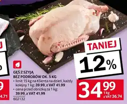 Selgros Gęś Ok oferta