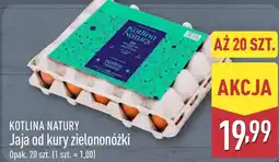ALDI Jaja Kotlina natury oferta