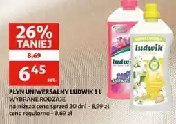 Auchan Płyn uniwersalny wiosenny ogród Ludwik oferta