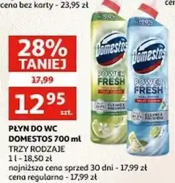 Auchan Żel do wc ocean fresh Domestos Power Fresh (Wcześniej Total Hygiene) oferta