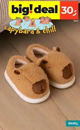 Dealz Kapcie oferta