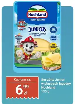 Dino Ser żółty Junior w plastrach łagodny Hochland oferta