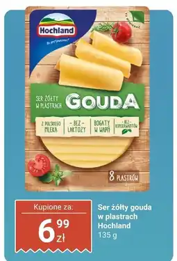Dino Ser żółty gouda w plastrach Hochland oferta
