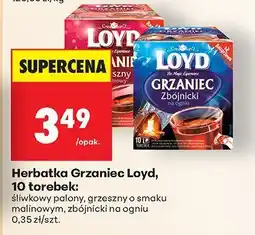 Biedronka Herbatka Grzaniec śliwkowy palony Loyd oferta