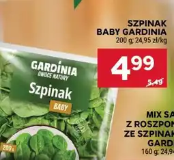 Stokrotka Market Szpinak Baby Gardinia oferta