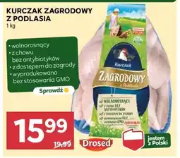 Stokrotka Market Kurczak zagrodowy z Podlasia oferta