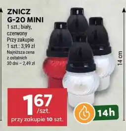 Stokrotka Market ZNICZ G-20 MINI oferta