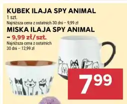 Stokrotka Market KUBEK ILAJA SPY ANIMAL oferta