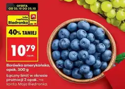 Biedronka Borówka amerykańska opak 300 g oferta