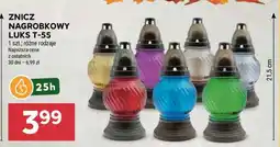 Stokrotka Market ZNICZ NAGROBKOWY LUKS T-55 oferta