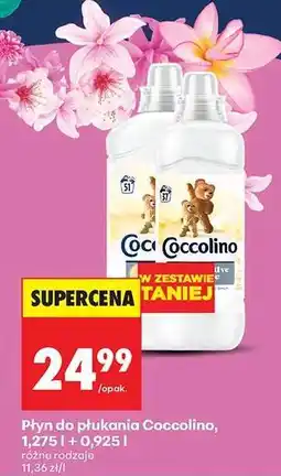 Biedronka Płyn do płukania Coccolino oferta