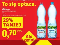 Lidl SAGUARO Woda źródlana oferta