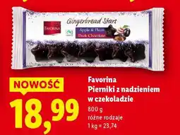 Lidl Favorina Pierniki z nadzieniem w czekoladzie oferta