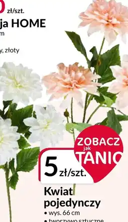 Agata Meble Kwiat Home oferta