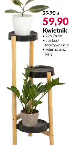 Agata Meble Kwietnik oferta